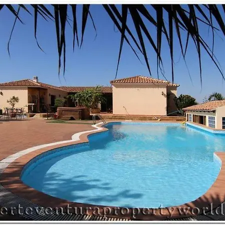 Green Oasis * La Oliva