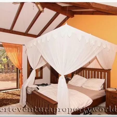 Villa Green Oasis *